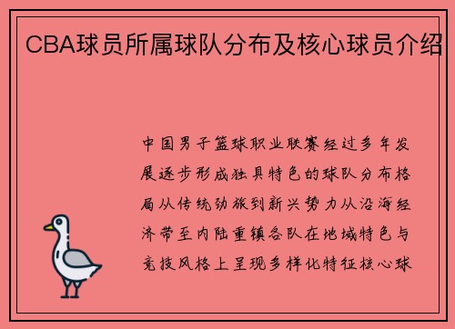 CBA球员所属球队分布及核心球员介绍